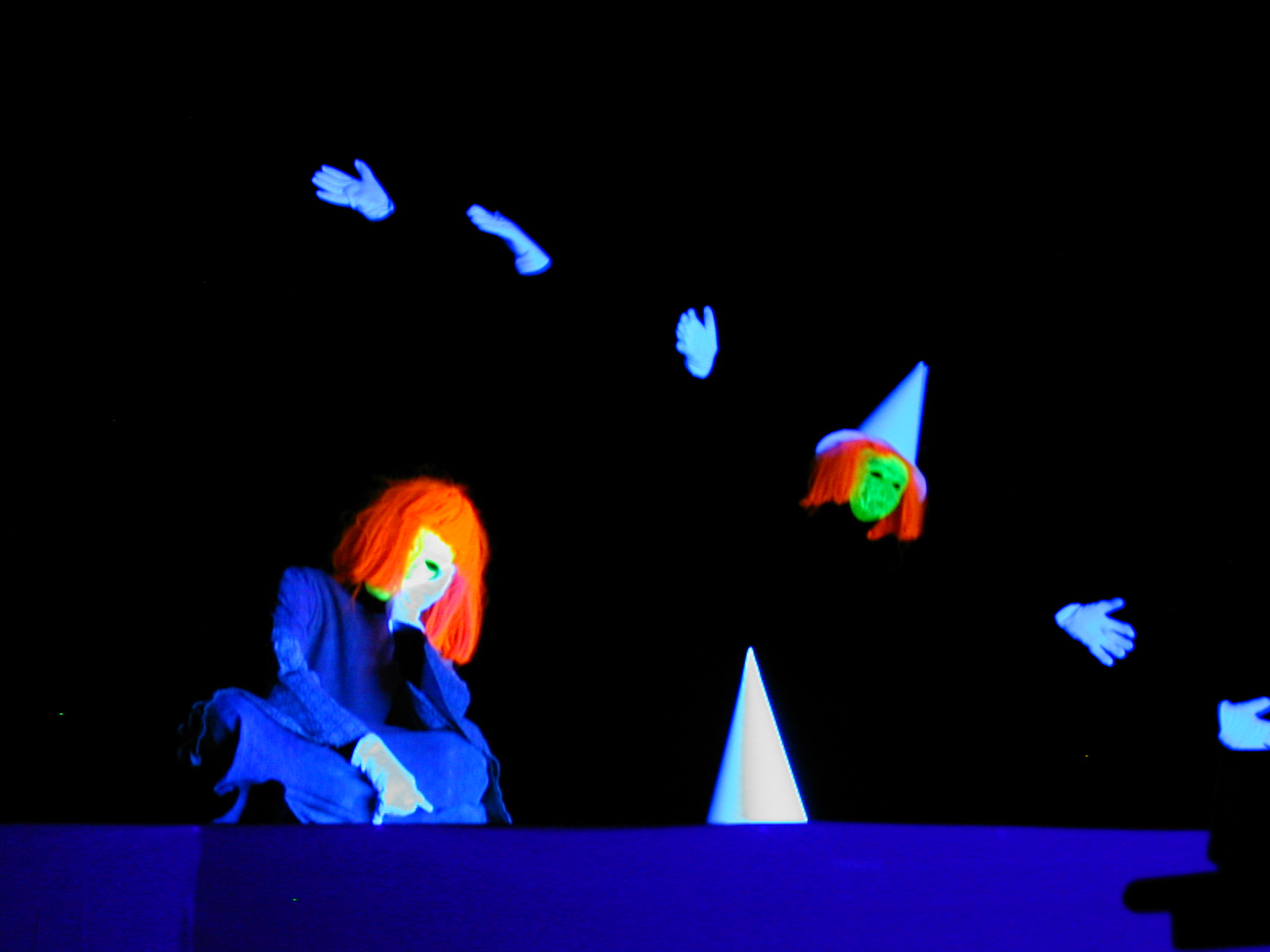 Der Zauberlehrling Kieferer Wichtl